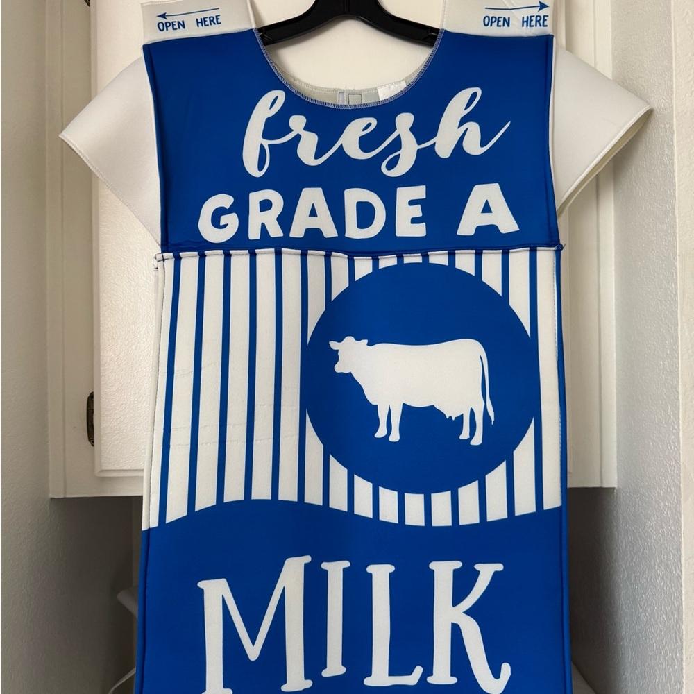 Seasons Milk Carton Costume Halloween Food Costume Box Adult Men Women, One Size